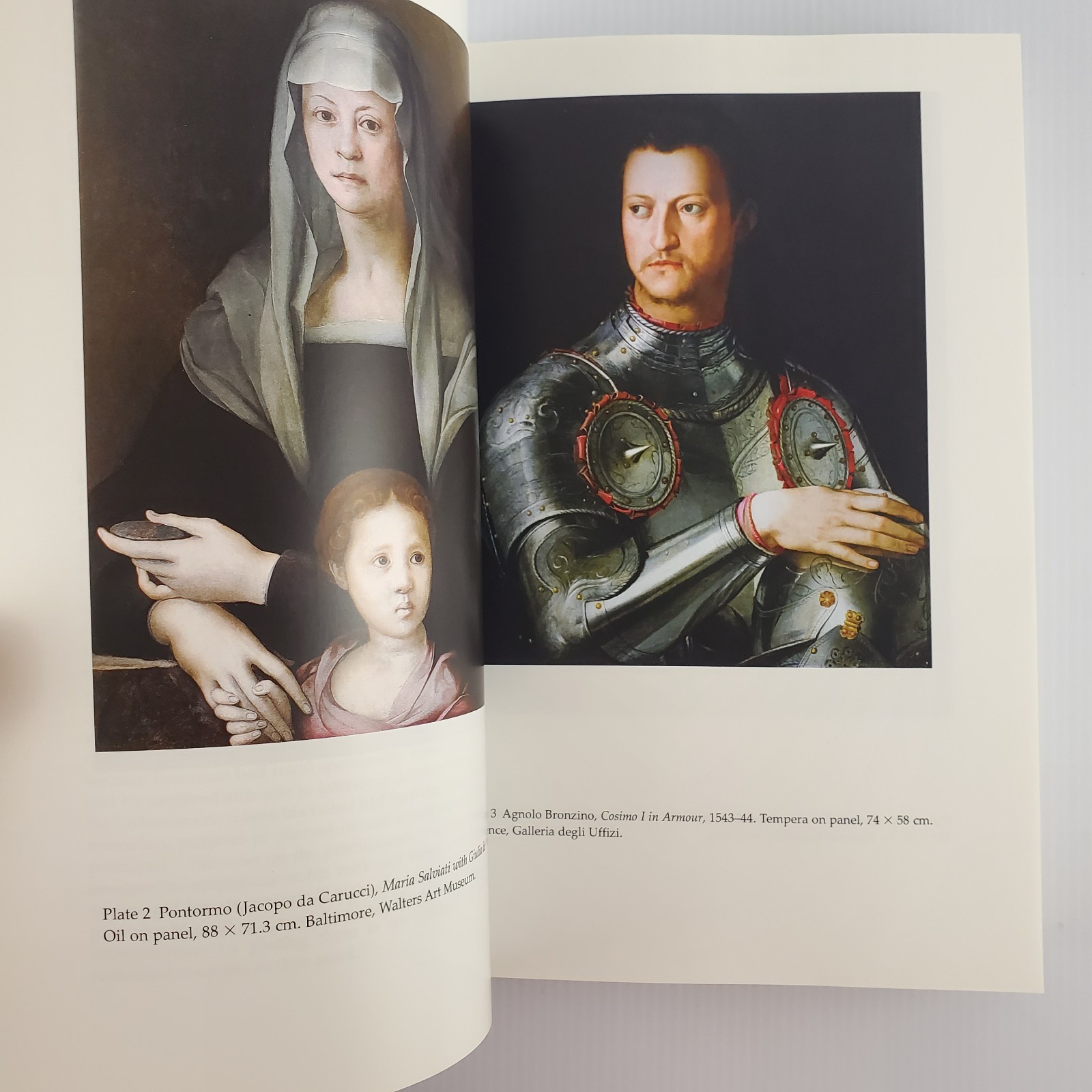 Medici Women Portraits of Power, Love, and Betrayal by Gabrielle Langdon 2013 PB