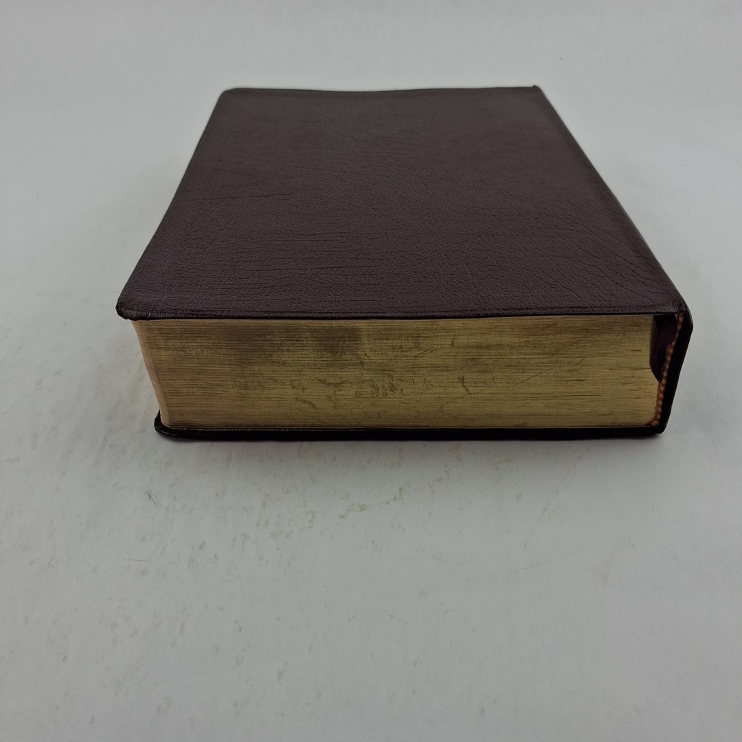 The Quest Study Bible New International Version Bonded Leather Large Print