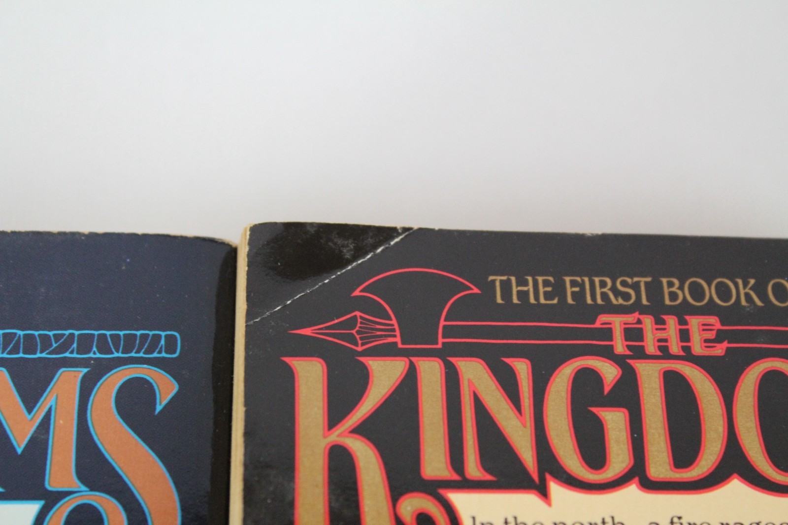 The Kingdoms Series by Angus Wells Books 1 and 2, PB, Fantasy