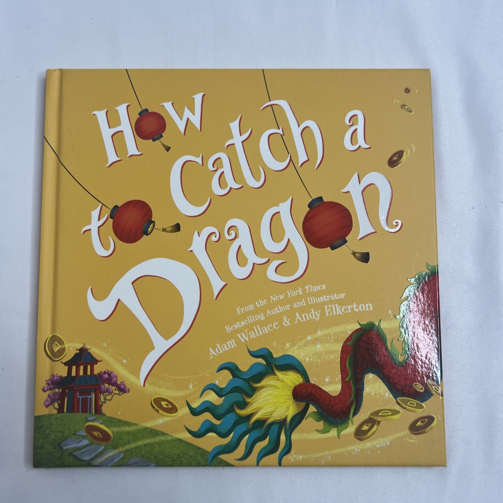 How to Catch a Dragon by Adam Wallace: New