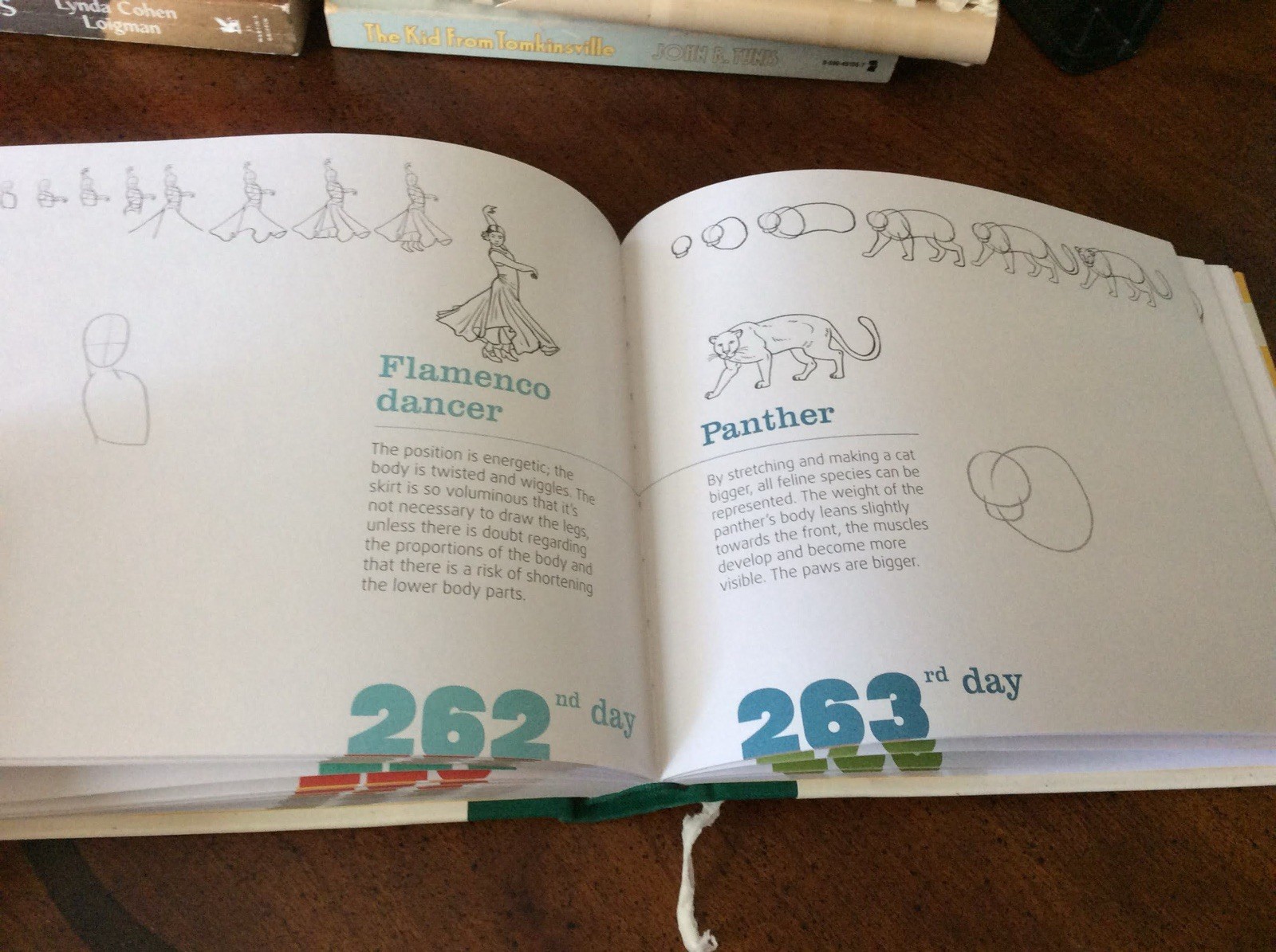 365 DAYS OF DRAWING By Lise Herzog – Hardcover Like New