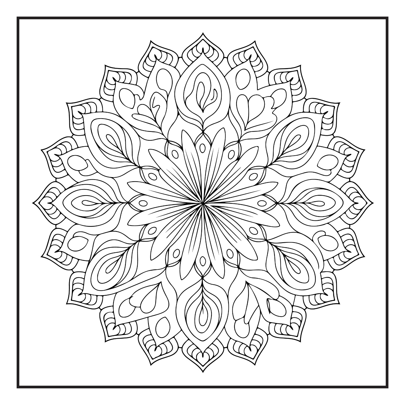 Rockridge Press Mindfulness Mandalas Coloring Book Spiral Bound Coloring Book