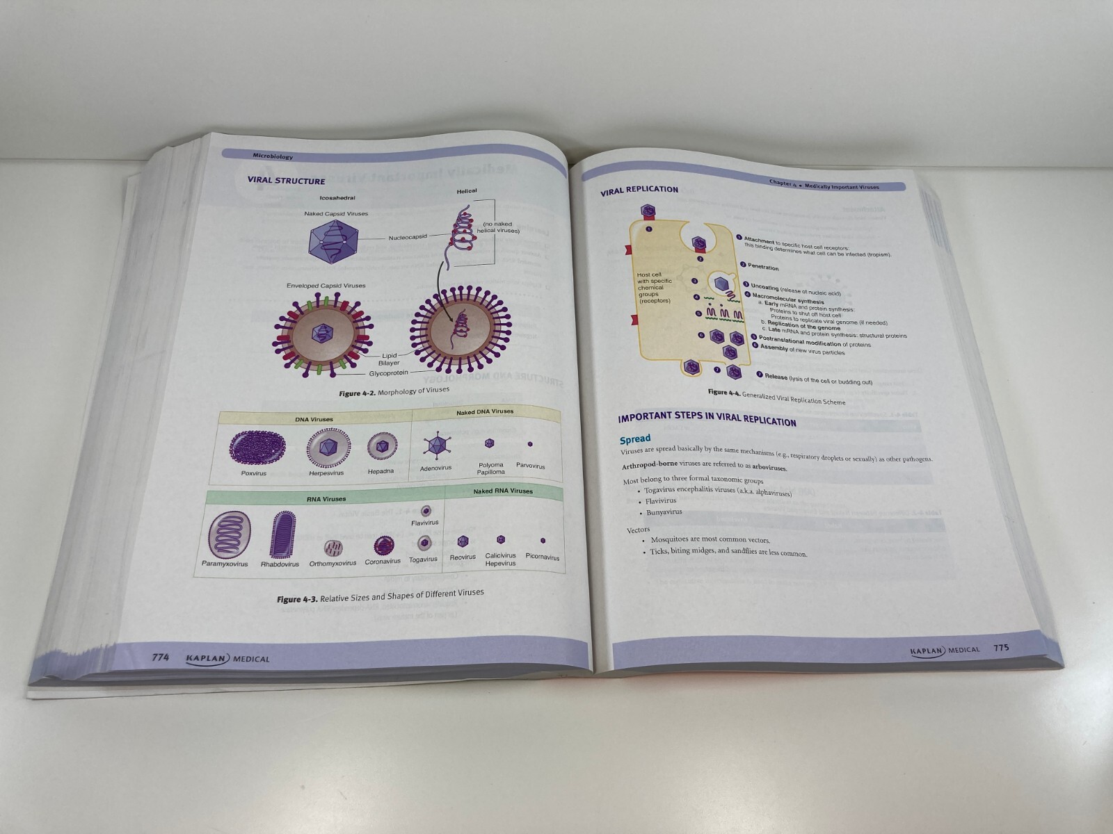 NBDE Part I Lecture Notes Kaplan Medical Test Prep Poor Condition See Photos