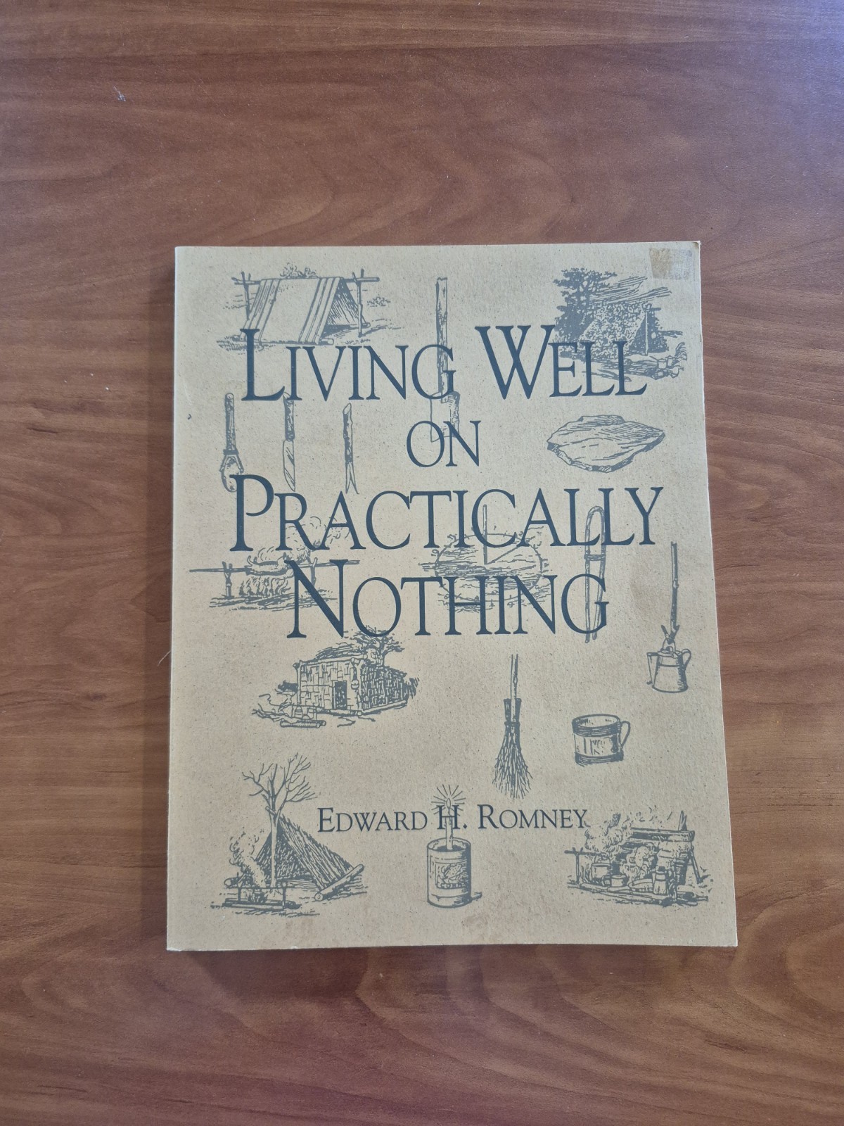 Living Well on Practically Nothing by Edward H. Romney (1992, Trade Paperback)