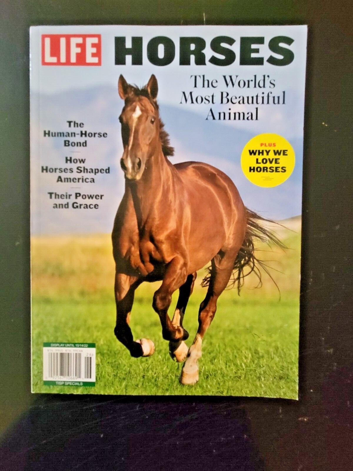 HORSES by LIFE The World’s Most Beautiful Animal – Plus Why We Love Horses