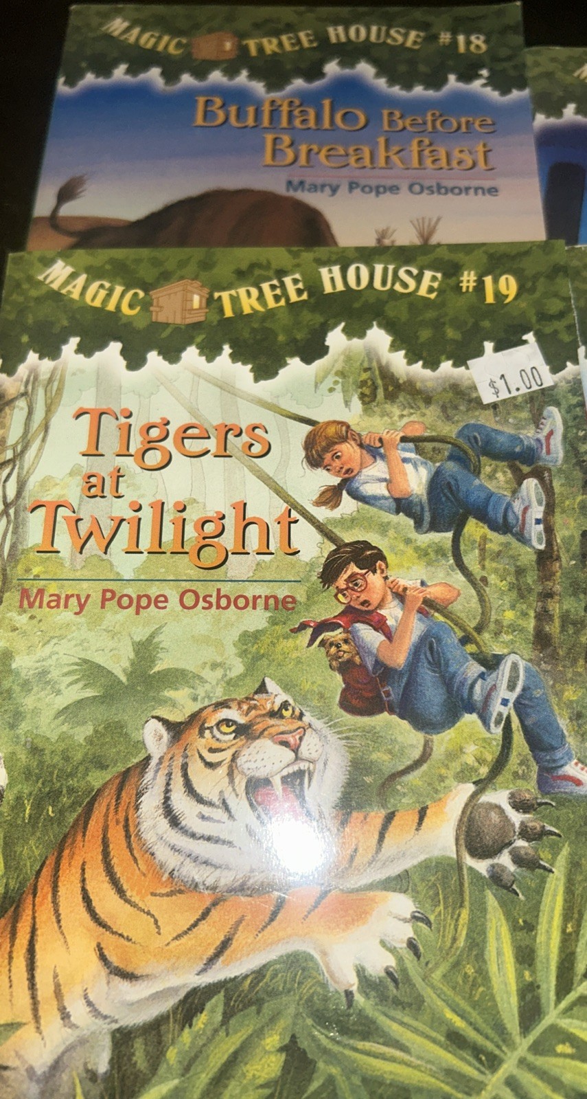 Magic Tree House Set