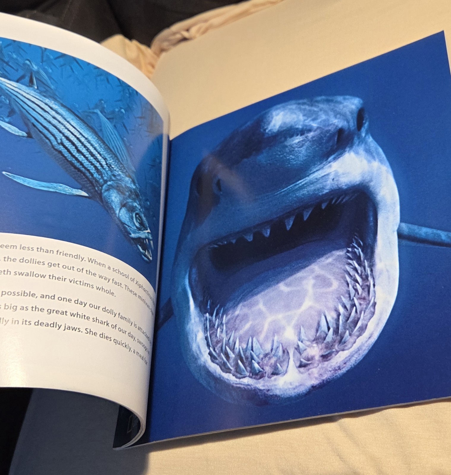 Sea Monsters Prehistoric Adventure
