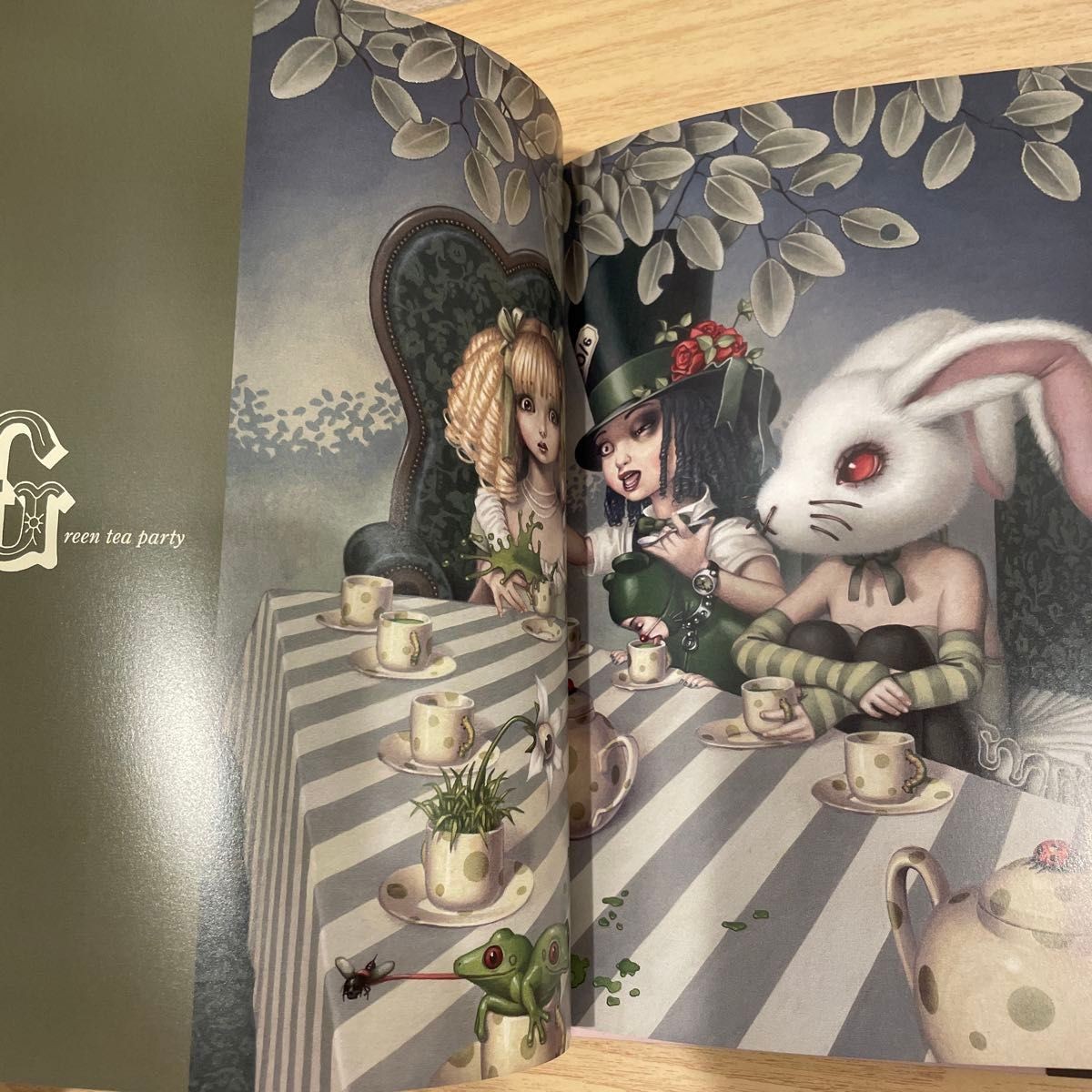 Art Book Aethetic collection Trevor BrownAlice New Edition