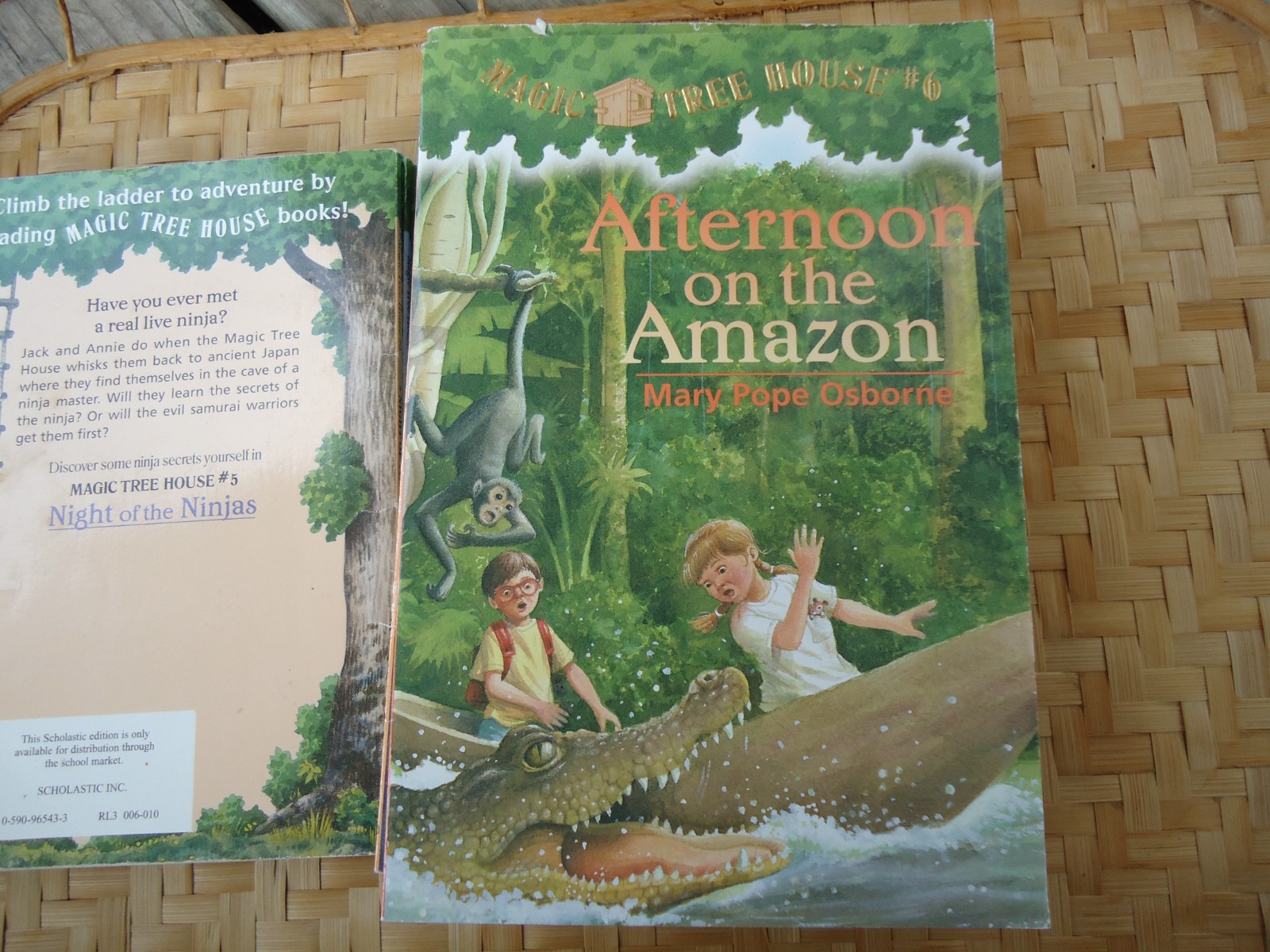 Magic Tree House Lot 11 Books Mostly PB No Repeats Childrens Historical Fiction