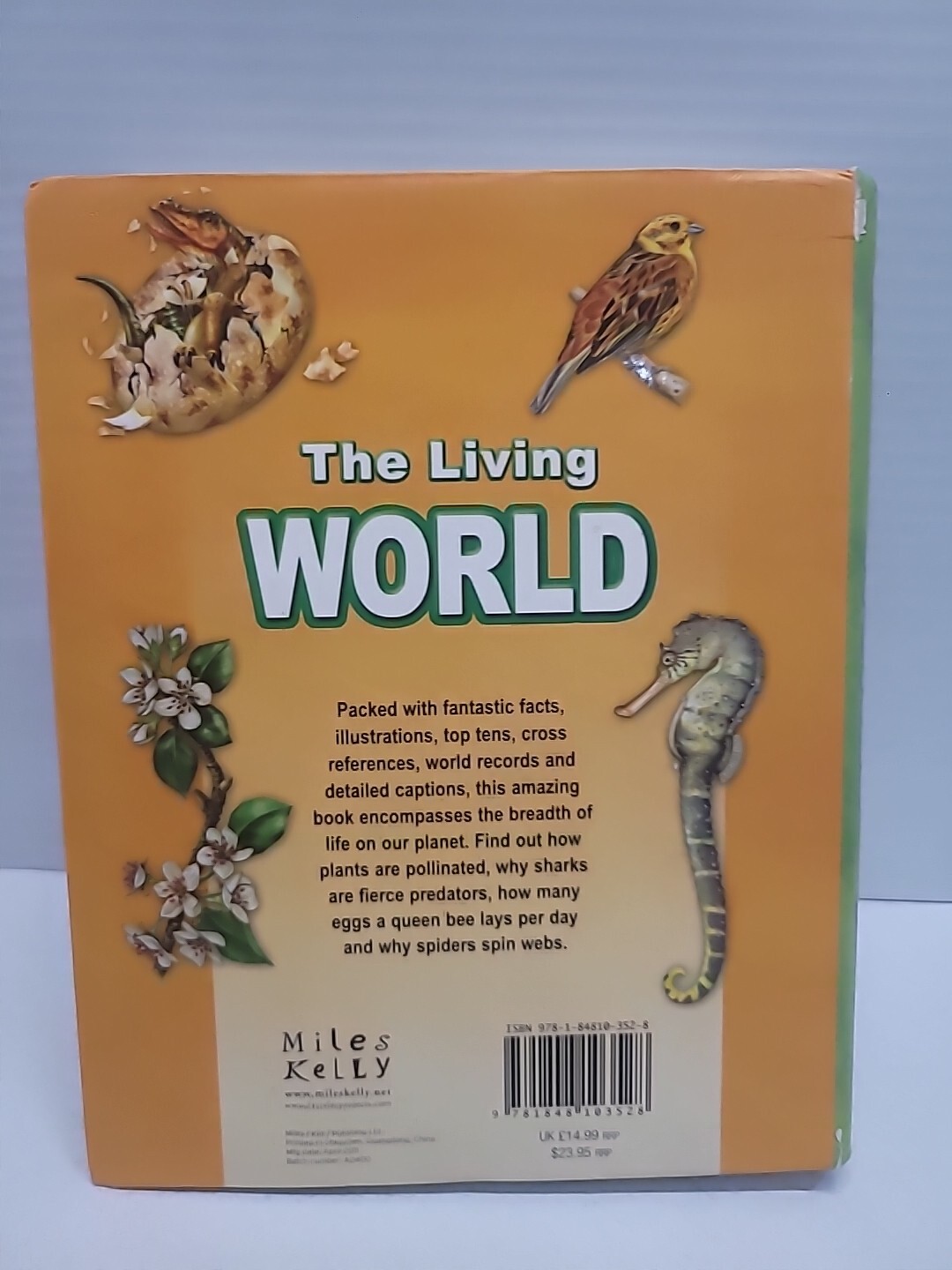 The Living World Paperback By Miles Kelly Life On Earth Illustrated 7″ x 9″