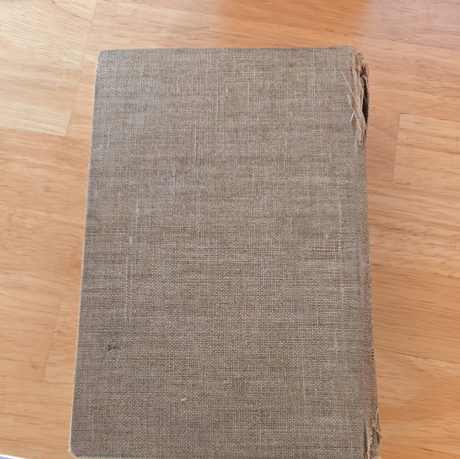The Florentine Dagger by Ben Hecht-1923 First Edition Published-Boni & Liveright