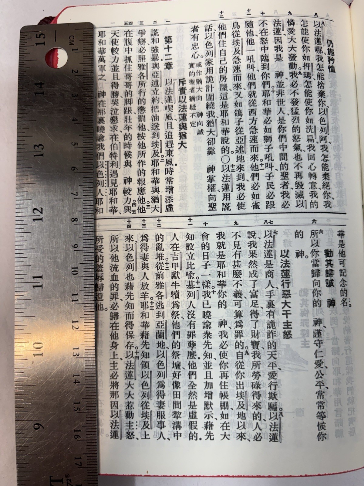 Vintage 1970 Chinese Edition Bible Hong Kong “Shen” Edition Kuoyü Mandarin