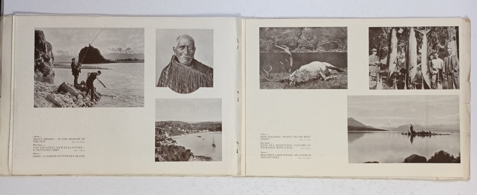 1920s Panoramic View Book Of New Zealand. 5 90x24cm Prints. Whitcombe & Tombs