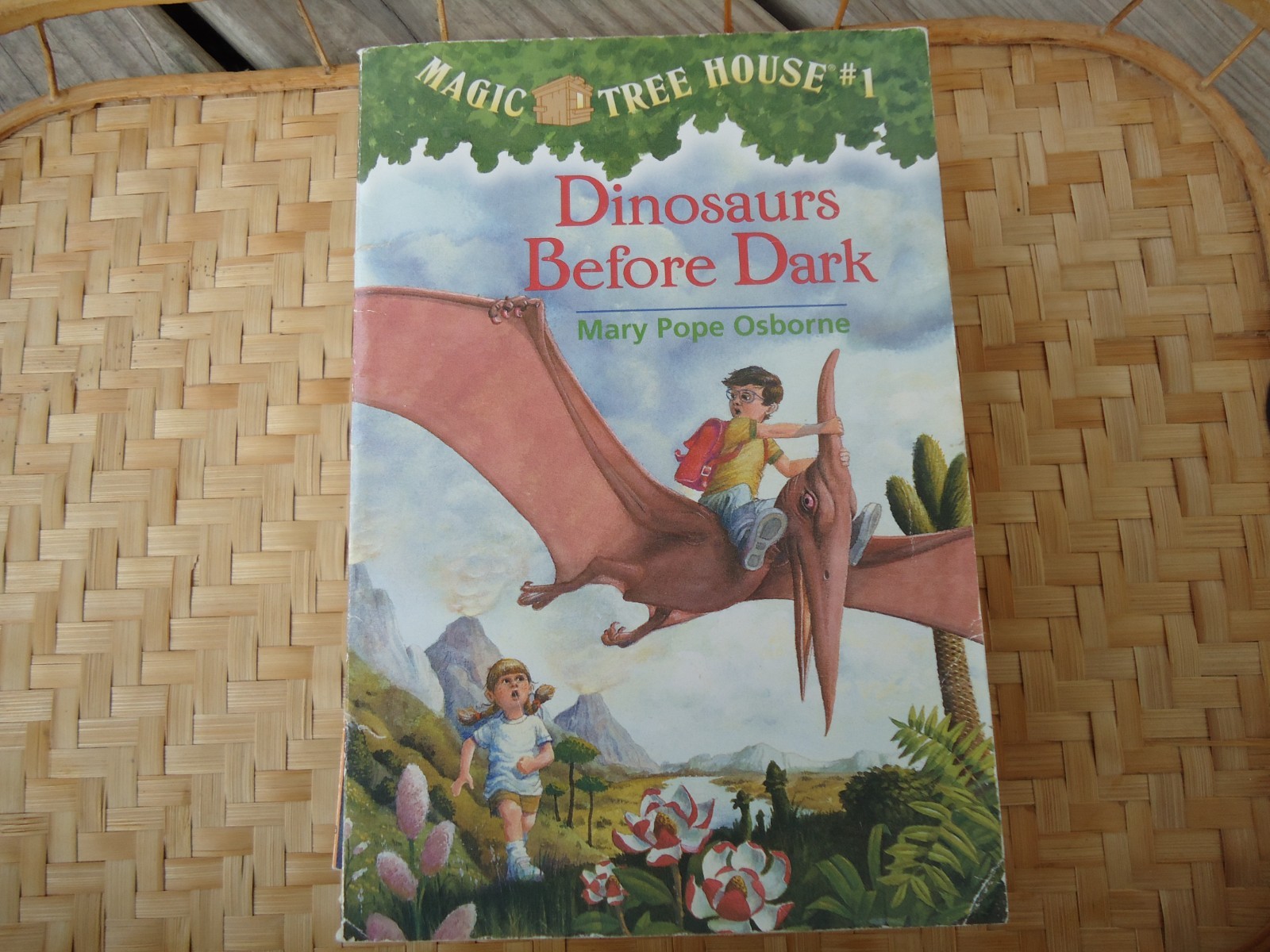 Magic Tree House Lot 11 Books Mostly PB No Repeats Childrens Historical Fiction