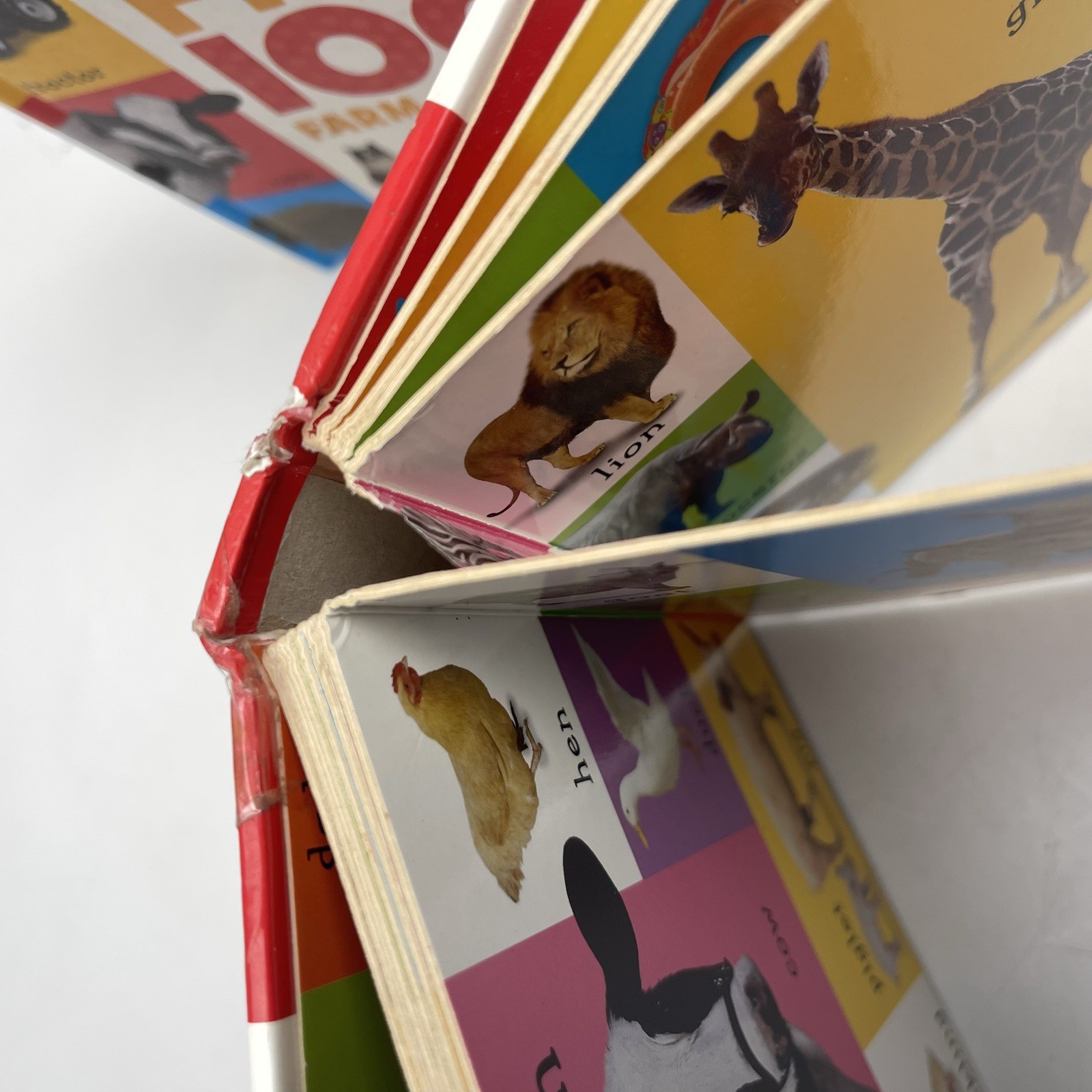 First 100 Animals First 100 Words First 100 Farm Words Lot of 3 Various Cond.