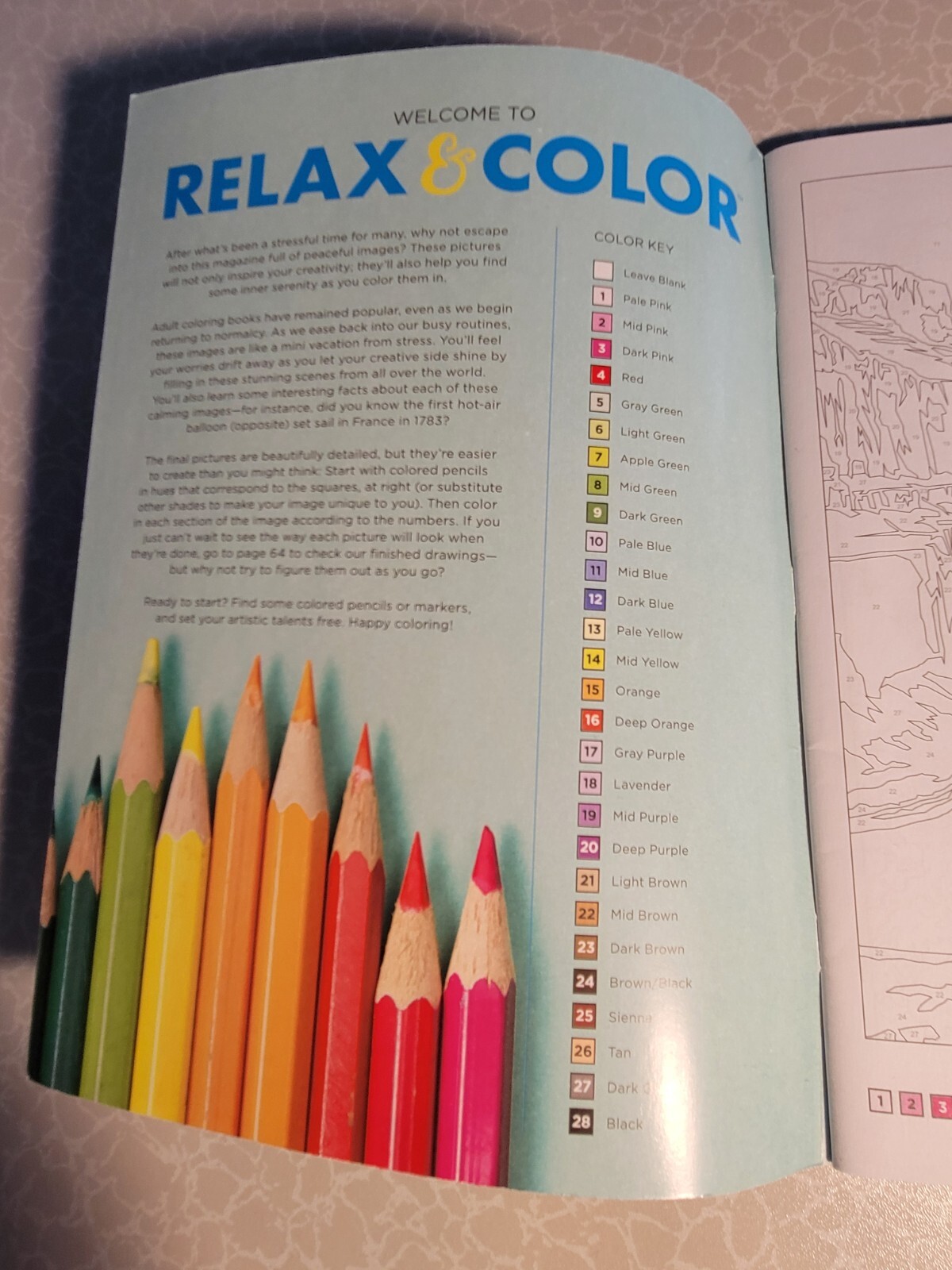 RELAX & COLOR – ADULT COLORING BOOK – COLOR BY NUMBER – 31 Uplifting Designs