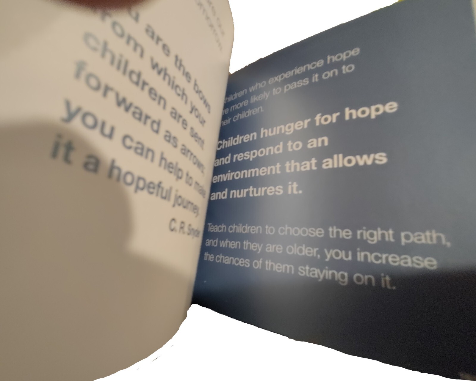 A Thousand Paths to Hope by Jane Garton: 466 Pages/Paths to Positivity of Hope