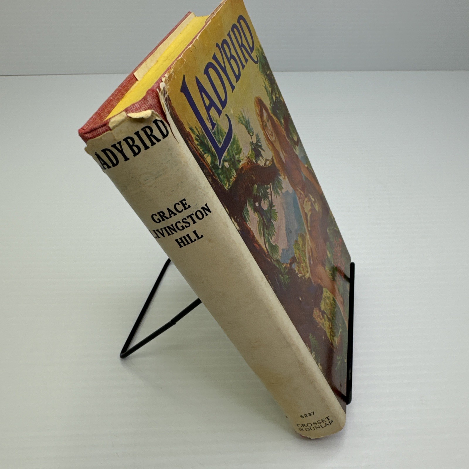 Ladybird Grace Livingston Hill Grosset & Dunlap c1930 Later Print Vintage Novel