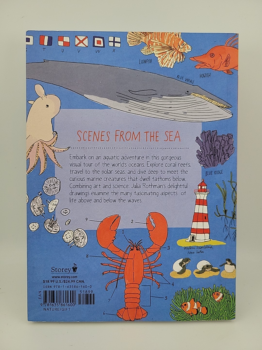 Ocean Anatomy: The Curious Parts & Pieces of the World Under the Sea (Paperback)