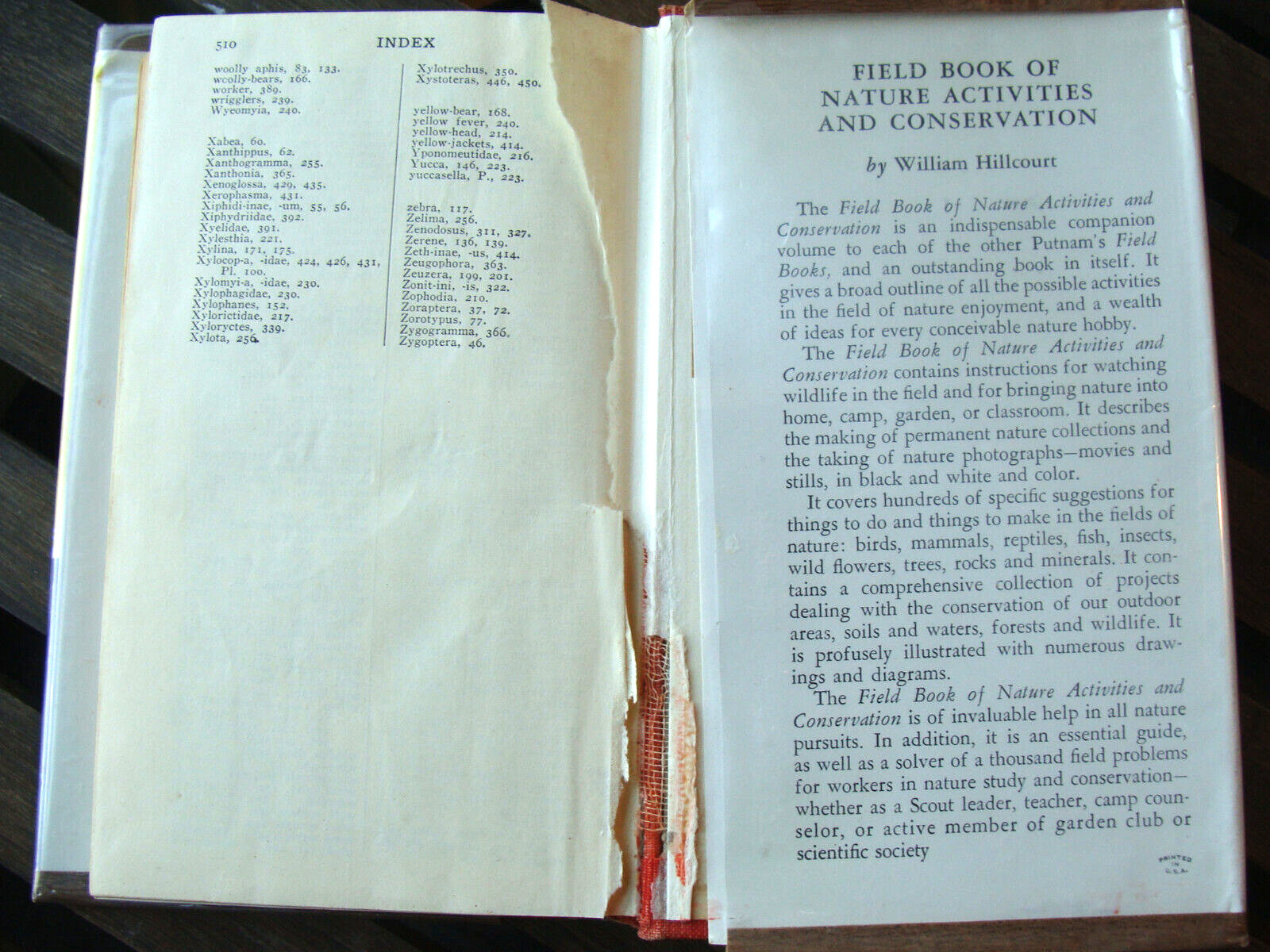 Field Book Of Insects ~1948 HC~ Lutz Entomology Bug Bee Moth Larva Butterfly 🦋