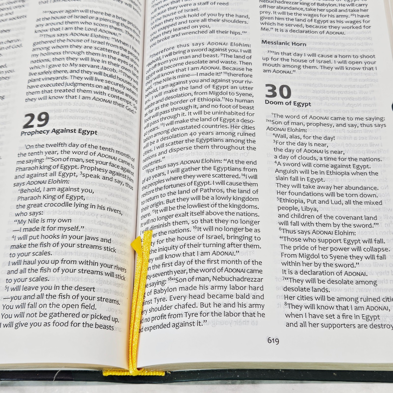Messianic Jewish Family Bible Tree of Life Version TLV Gold Gilt Dark Green Tabs