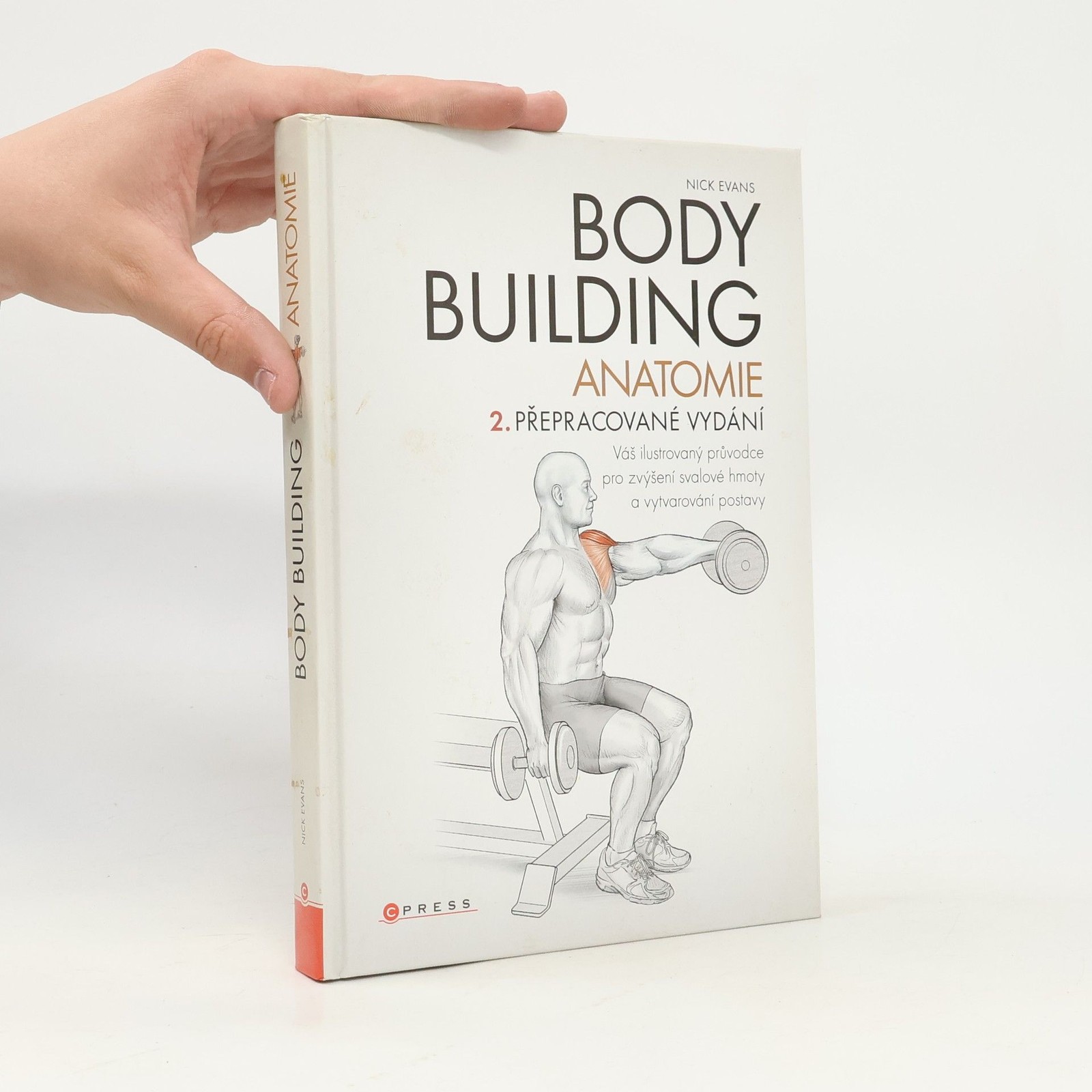 Bodybuilding – anatomie  |  Nick Evans