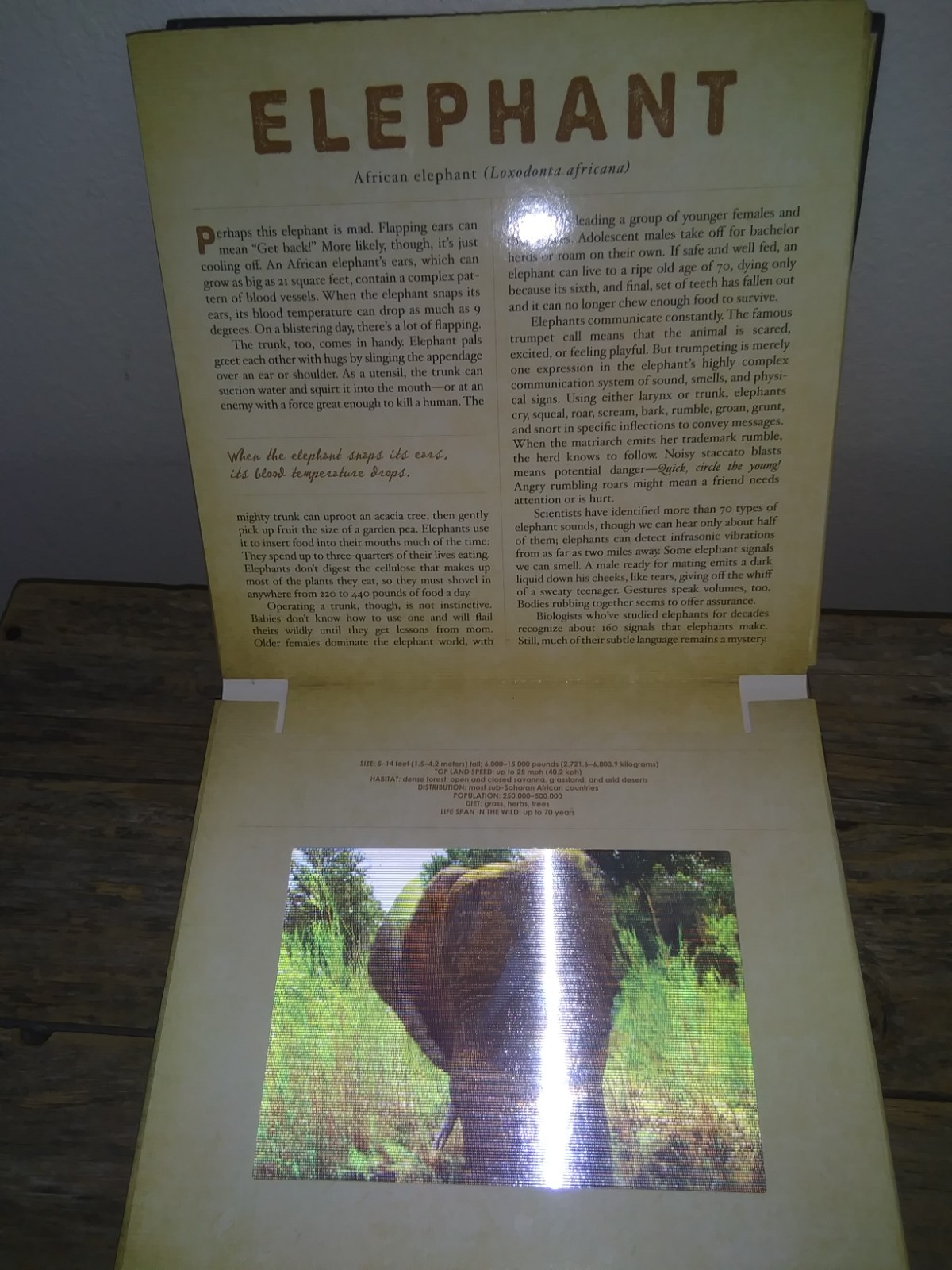 Safari: A Photicular Book – 3D Moving Pics of African Animals Educational Guide
