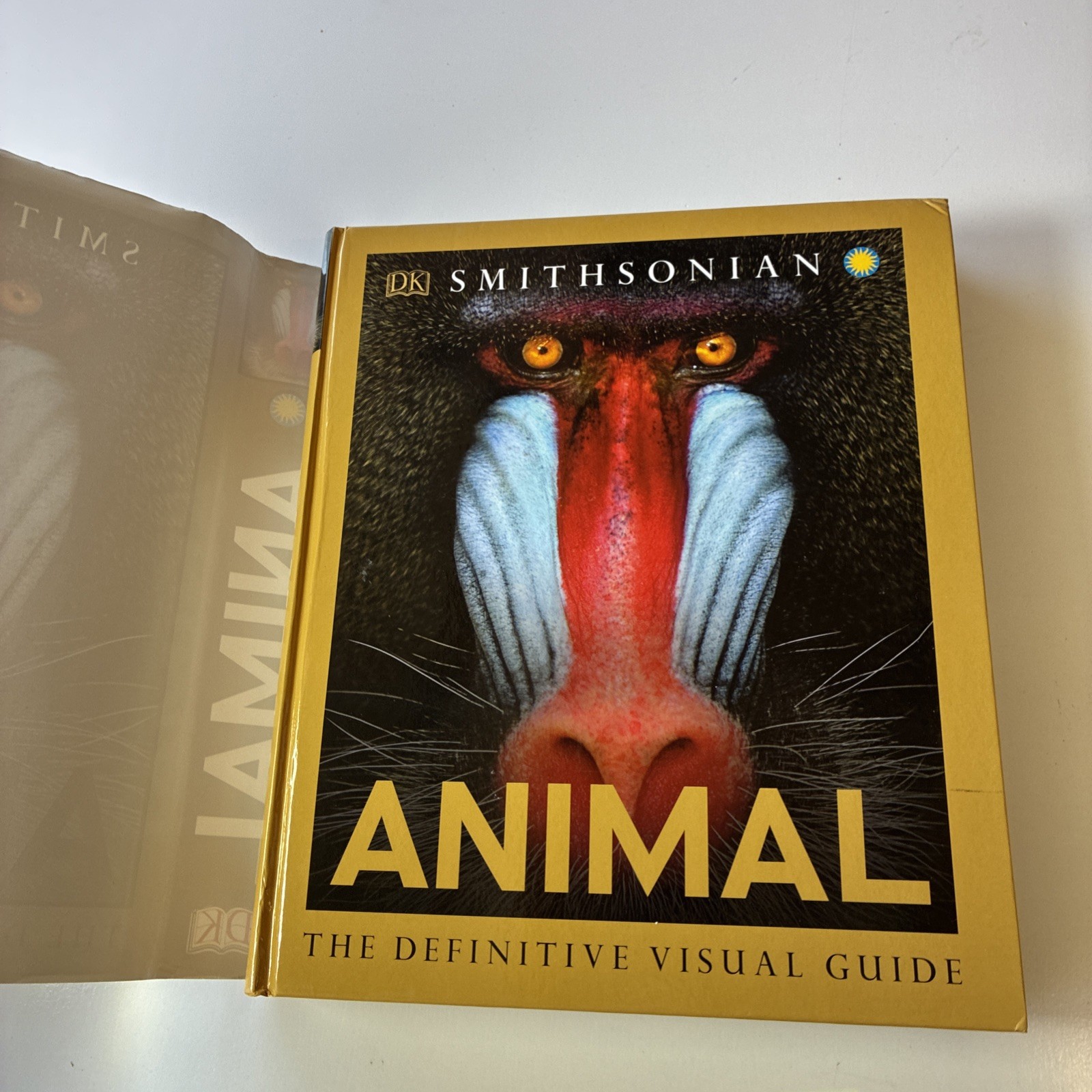 DK Smithsonian ANIMAL: The Definitive Visual Guide 2011 Edition Hardcover (26A)