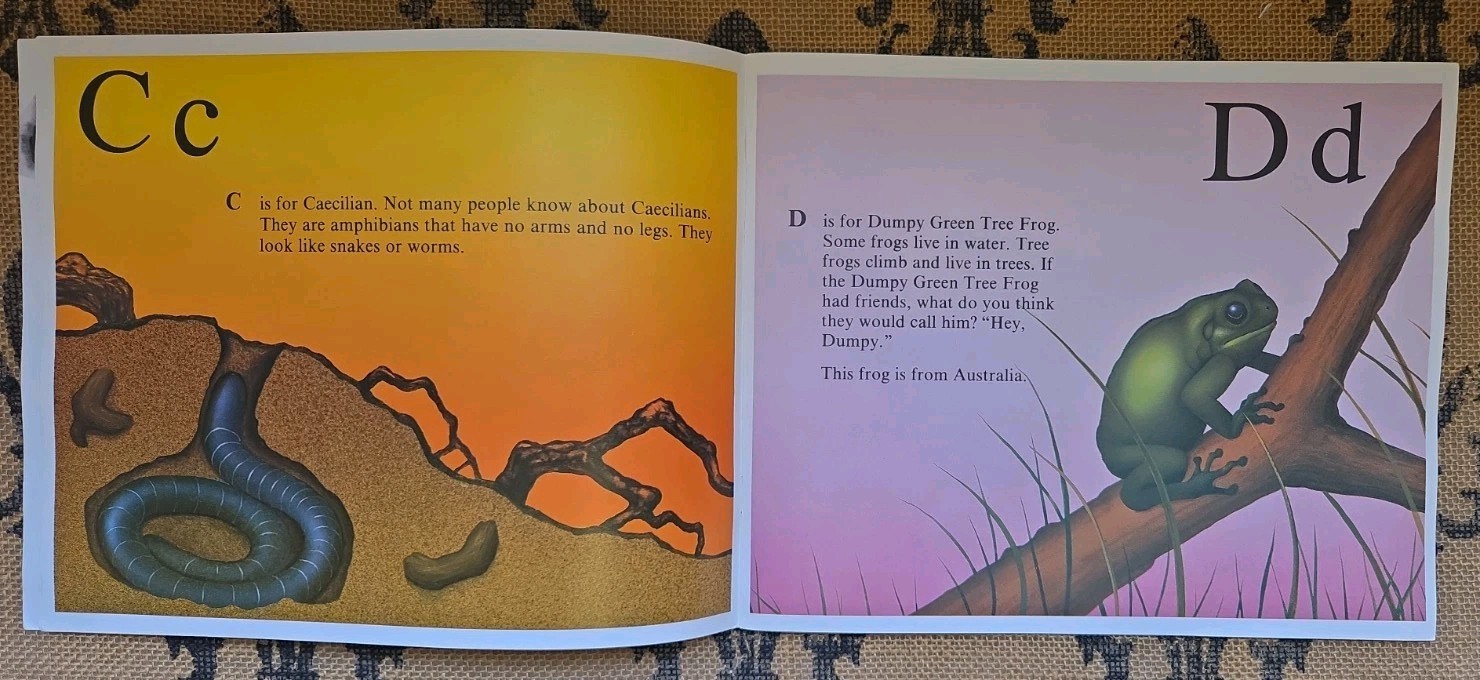 Stories about Frogs Childrens Book Lot Freddie the Frog, Hoppy Long Legs, Gorky