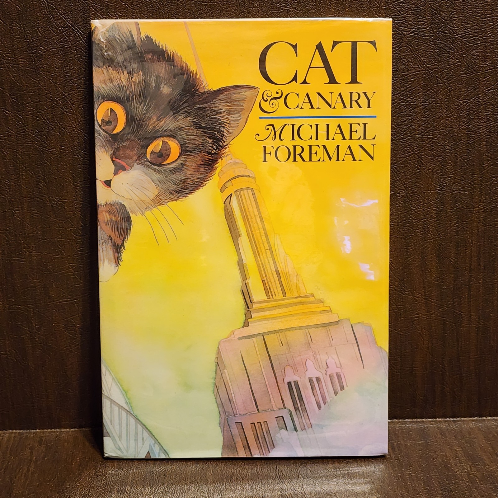 1st Edition Print – Cat and Canary Hardcover Michael Foreman Hardcover DJ GREAT