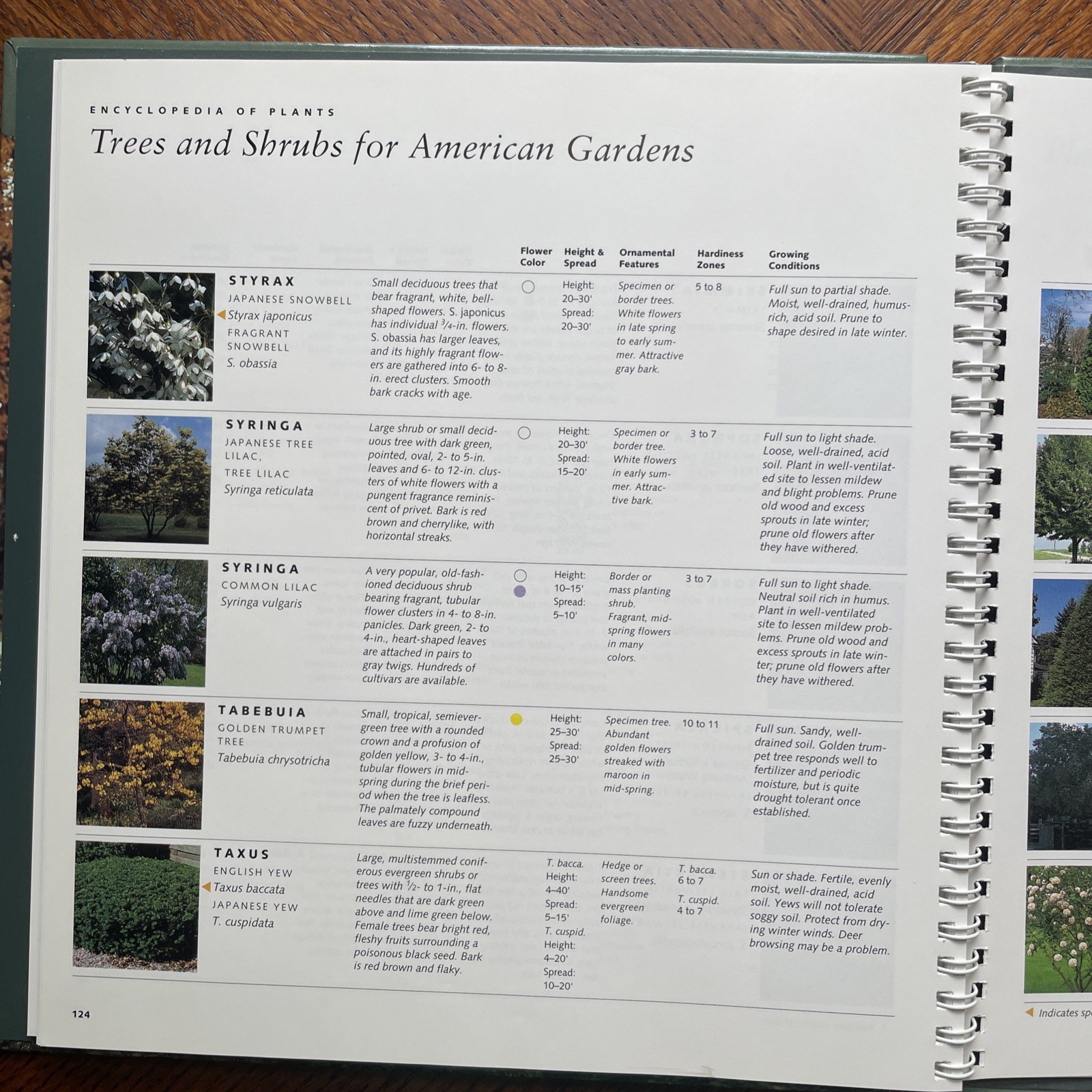 BH&G Trees & Shrubs Hardbound Spiral Gardening Book Catriona Tudor Erler 1995