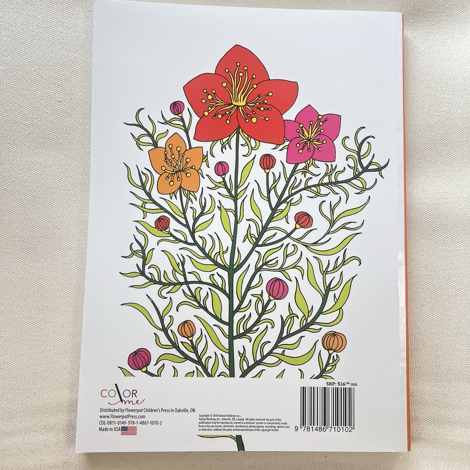 Color Your World:  Relaxing Adult Coloring Book W/ Easy Tear-Out Pages NEW