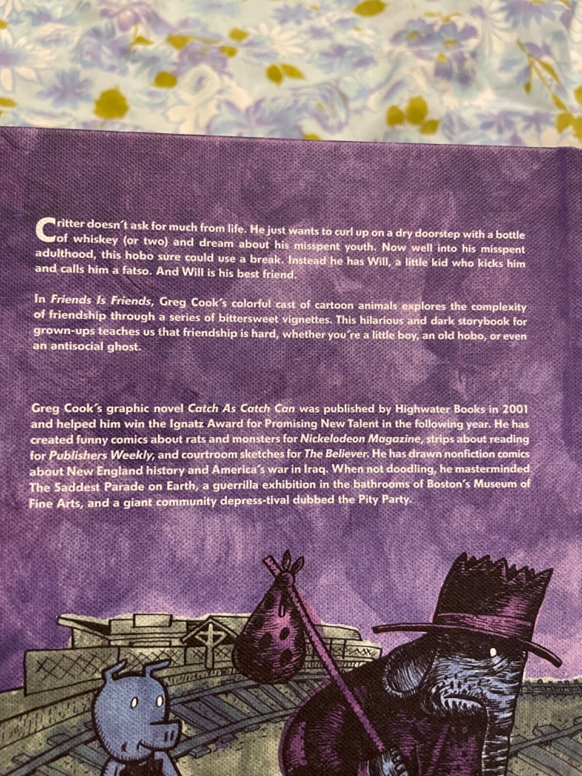 BOOK Friends is Friends Greg Cook First Edition 2016 Graphic Novel Roaring Brook