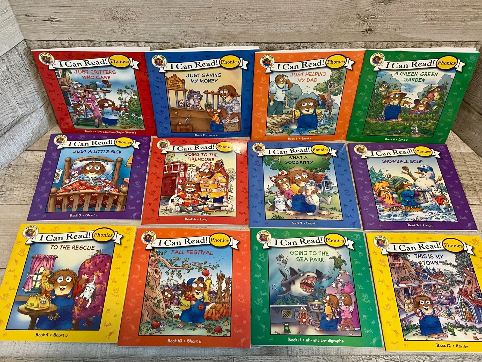 I Can Read Phonics Berenstain Bears (12) & Little Critter (12) 24 Books