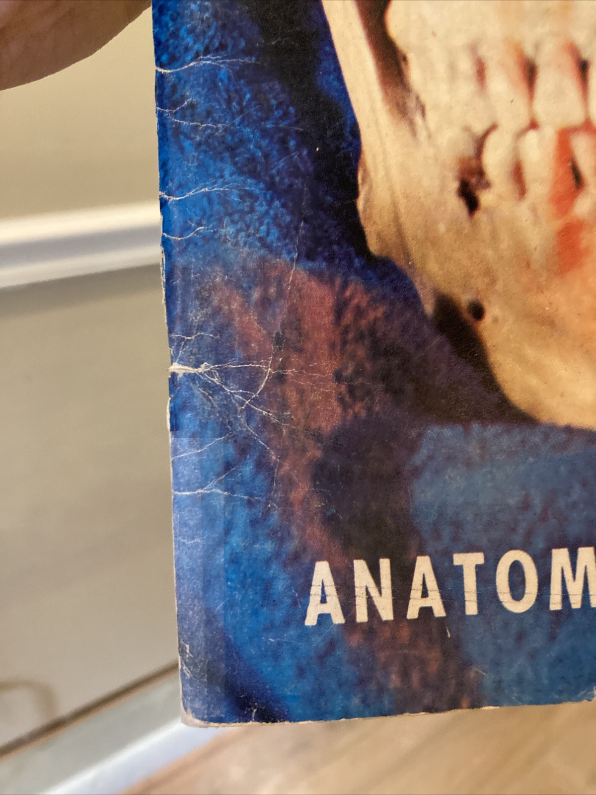 ANATOMY by Walter T Foster VINTAGE Paperback Drawing Book, Large Size QUICK SHIP