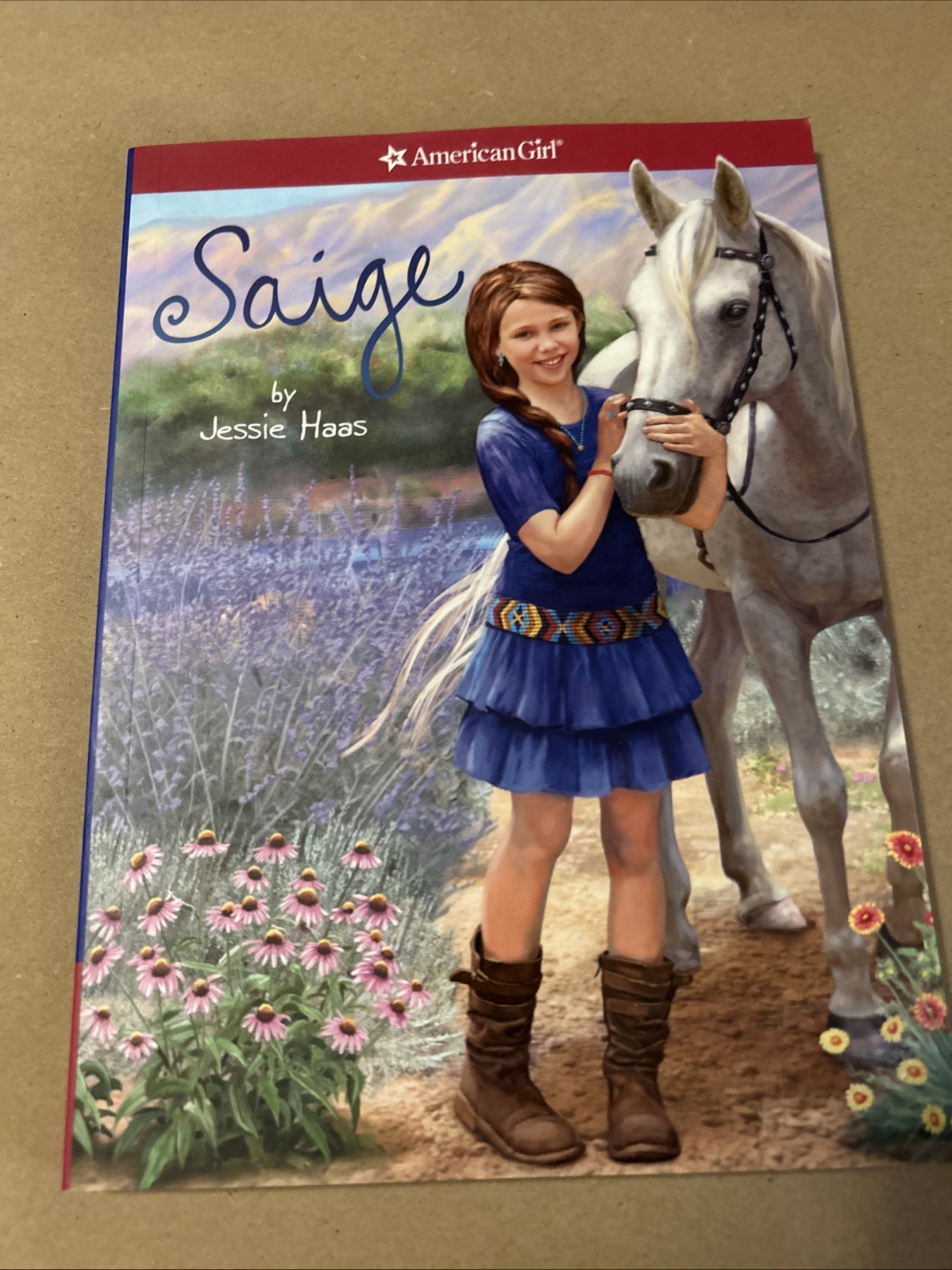 American Girl Set Of 2 Saige Paperback Books Brand New