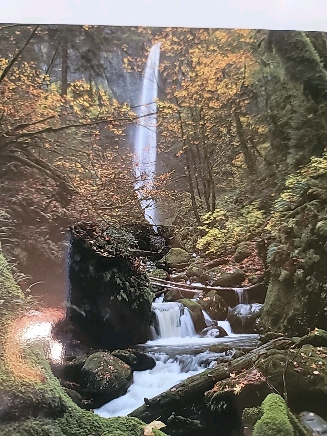 OREGON III Photography by Ray Atkeson & Richard Ross Like new.