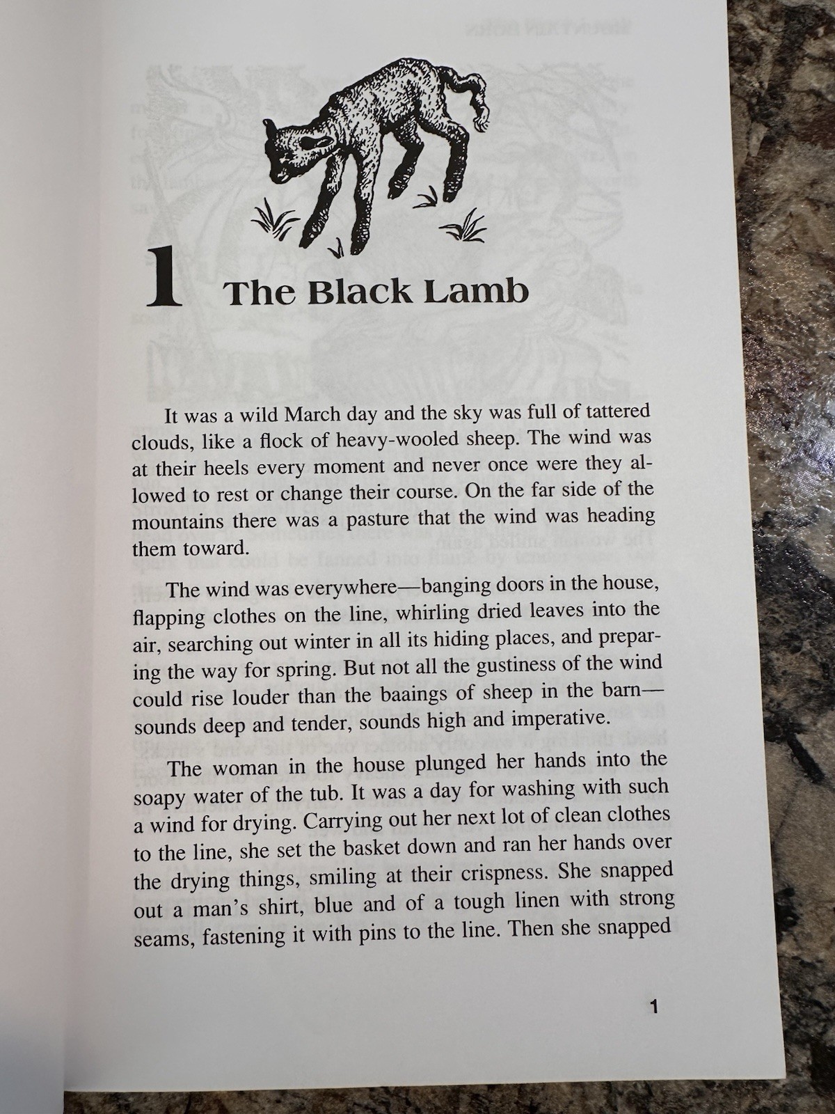 BJ BookLinks: Mountain Born PB Chapter Book Yates/Unwin + Lesson Plans