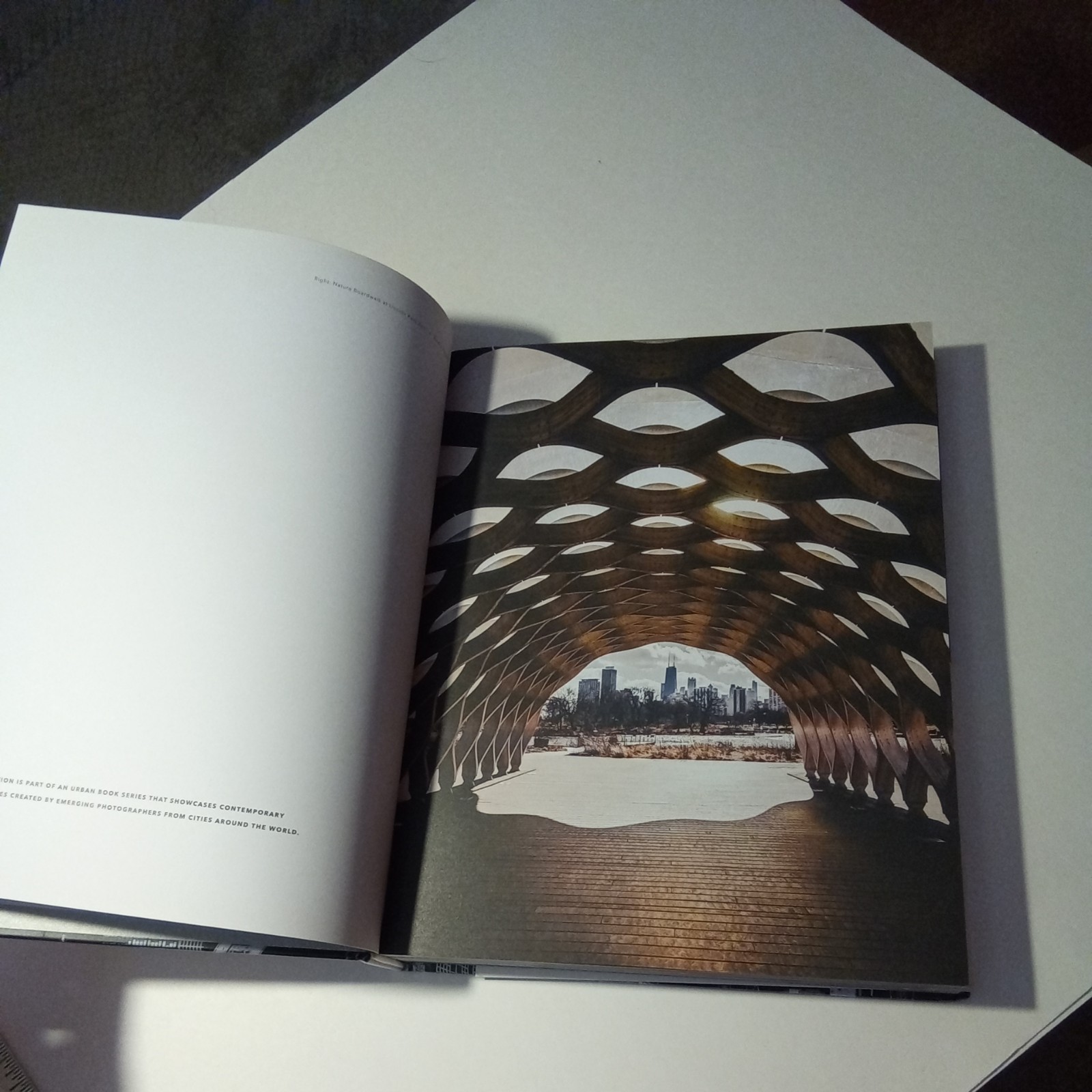 Trope Chicago by Sam Landers Hardcover (Trope City Edition)