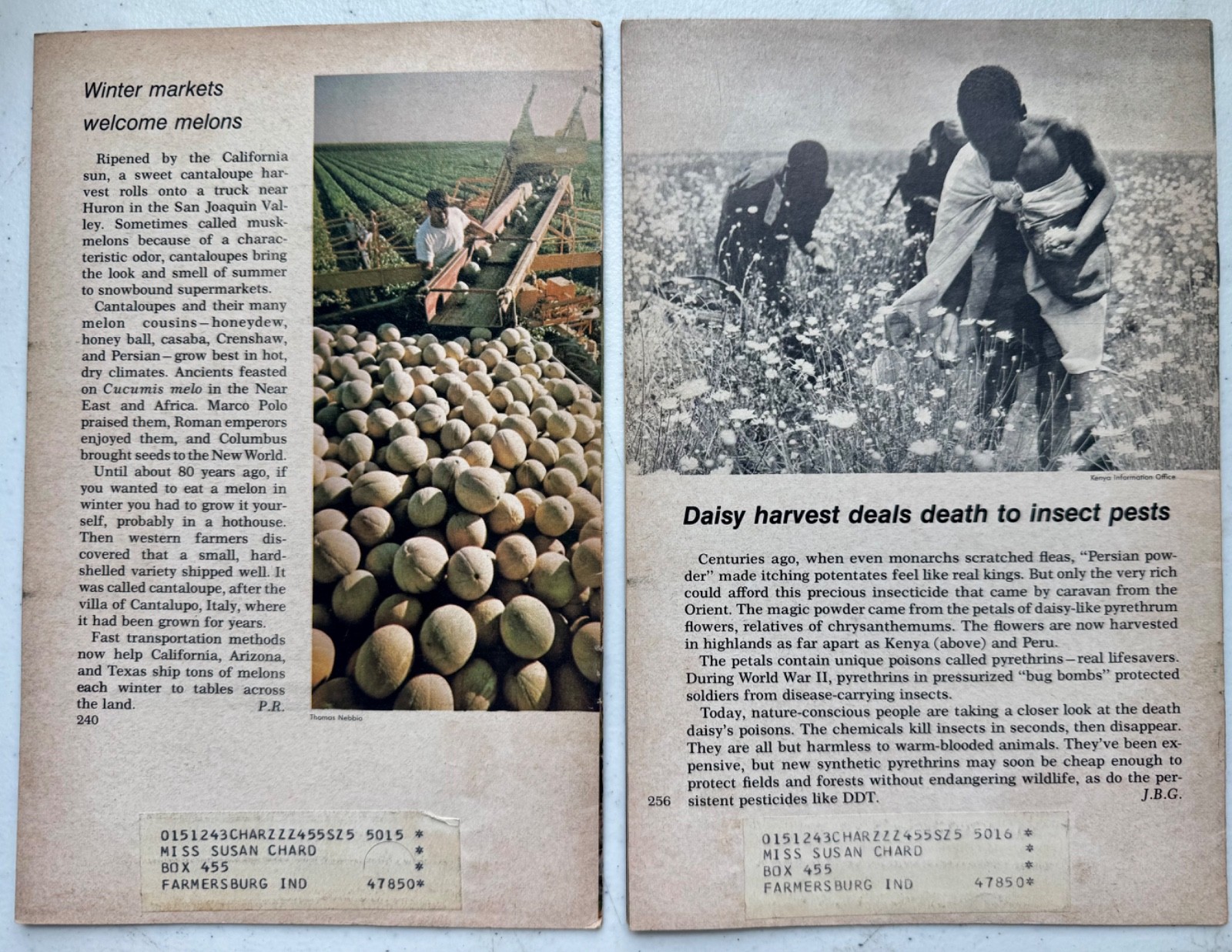 National Geographic School Bulletin 1972 Lot 4 Issues Philippines Virginia Corfu