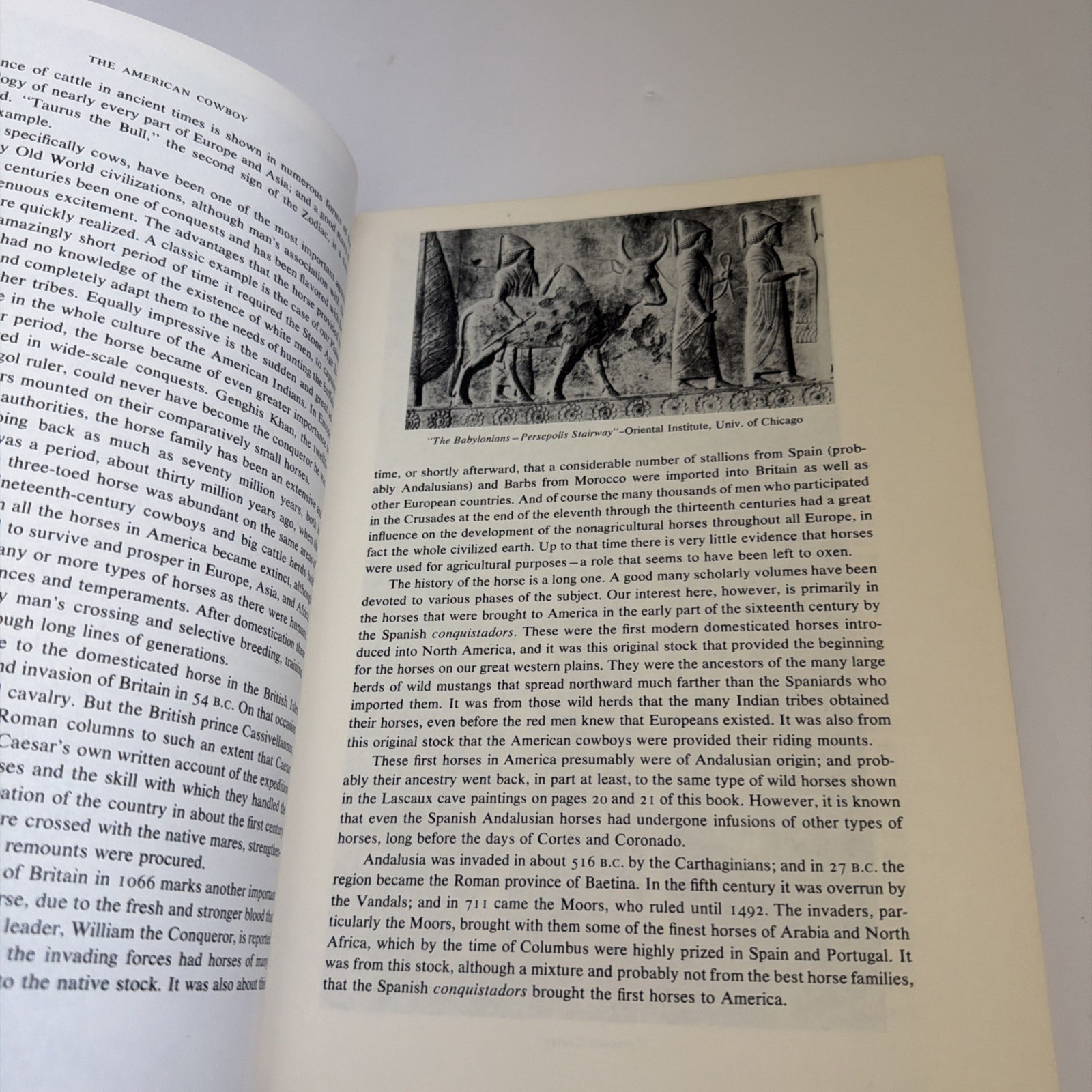The American Cowboy by Harold MCCRACKEN History Art Drawings PB 1973