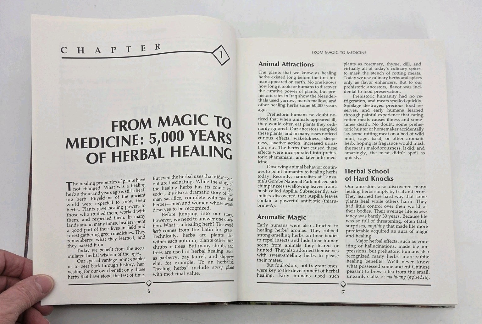 The Healing Herbs by Michael Castleman Ultimate Guide Remedies VTG 1991