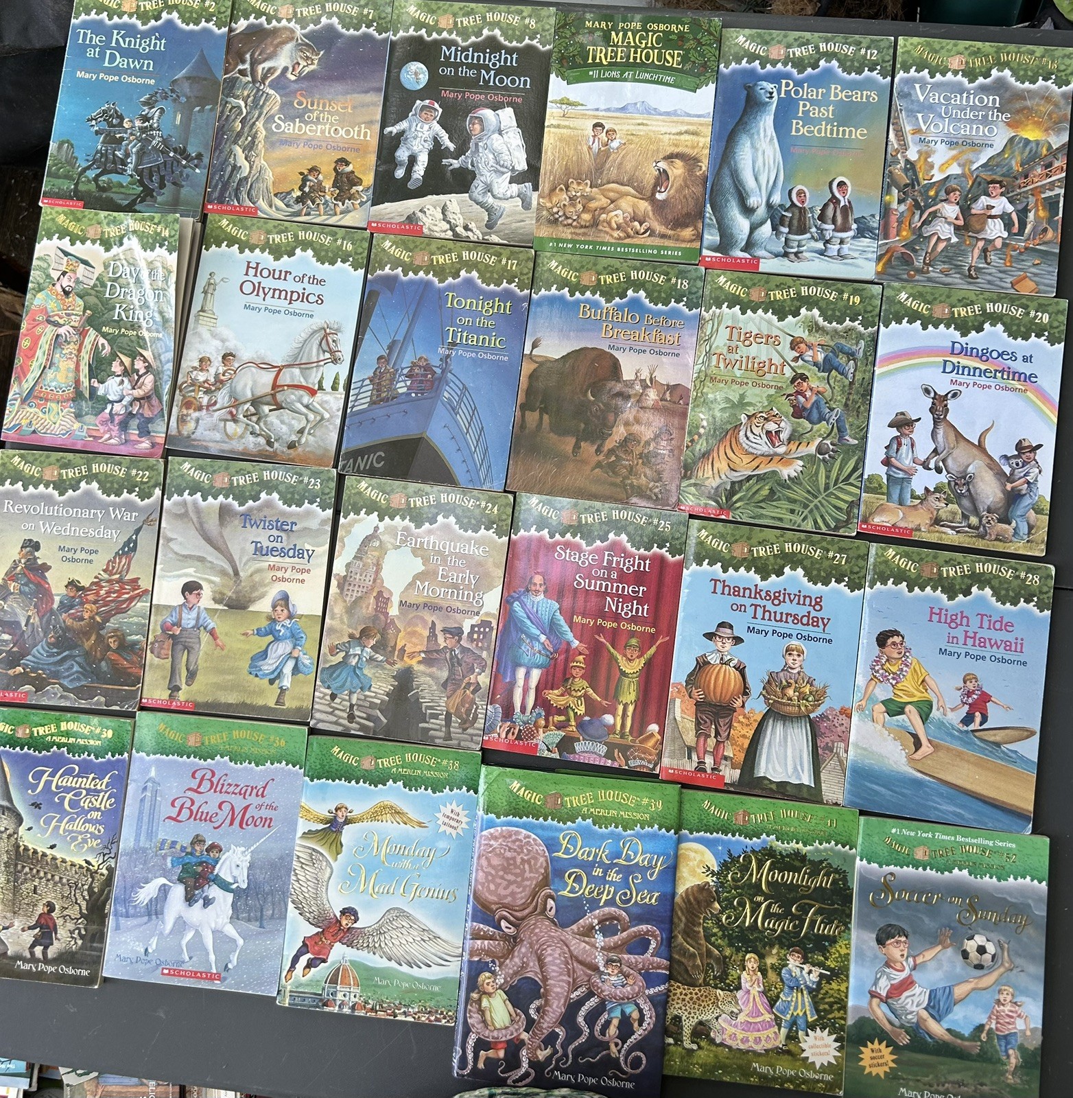 Lot Of 26 Magic Treehouse books by Mary Pope Osborne & Natalie Pope Boyce