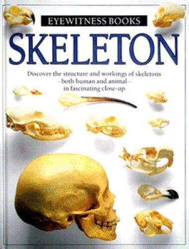 Skeleton (Eyewitness Books) – Hardcover By Parker, Steve – VERY GOOD