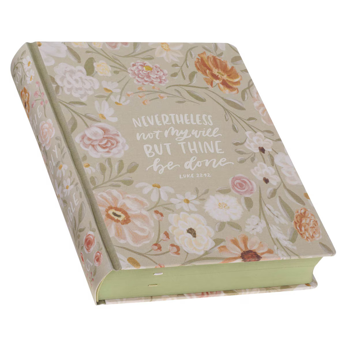 KJV Note-taking Bible, Large Print Special Edition, Journal Space, Reading Plan,
