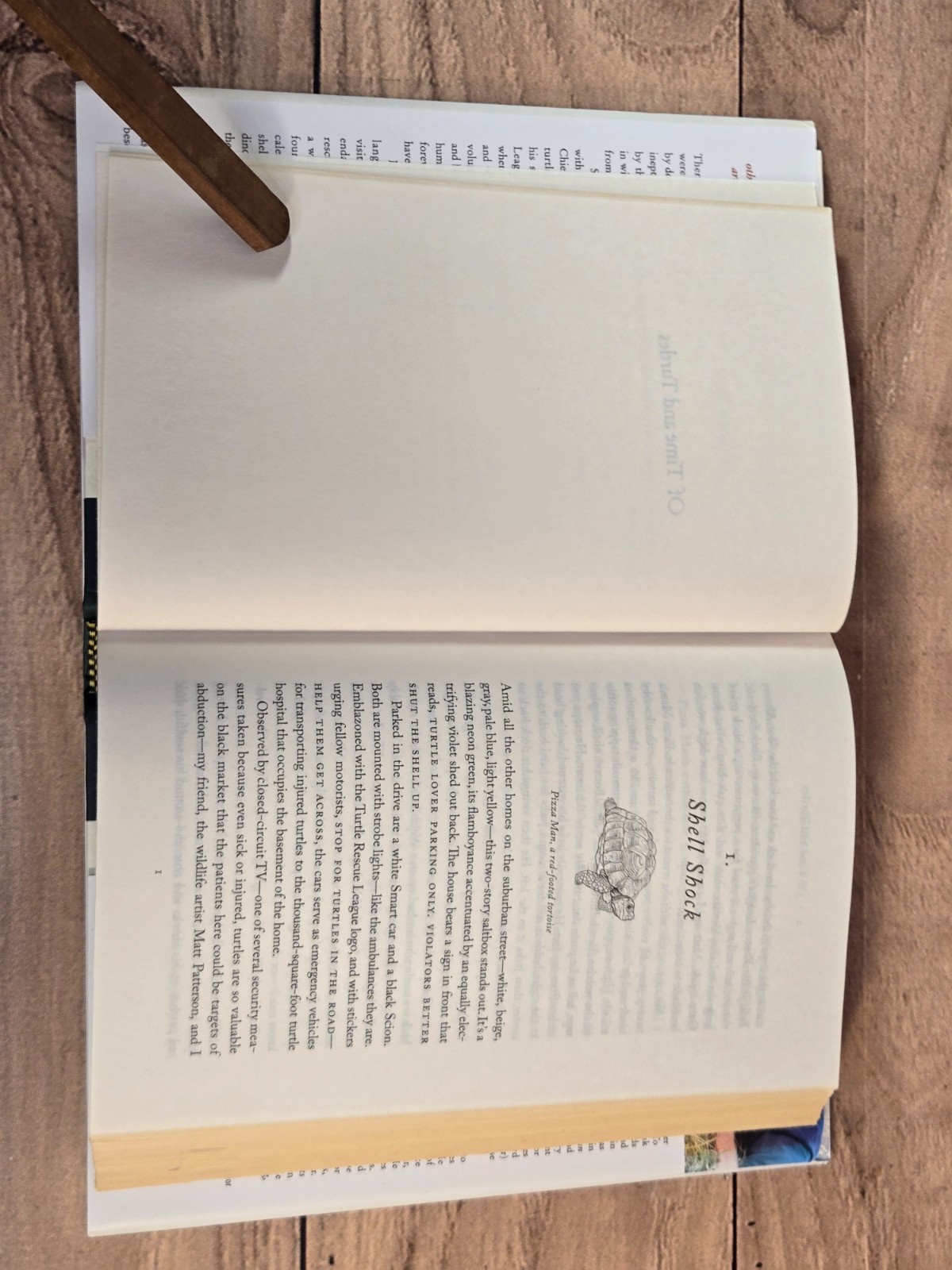 Of Time And Turtles: Mending The World, Shell By Shattered Shell Sy Montgomery
