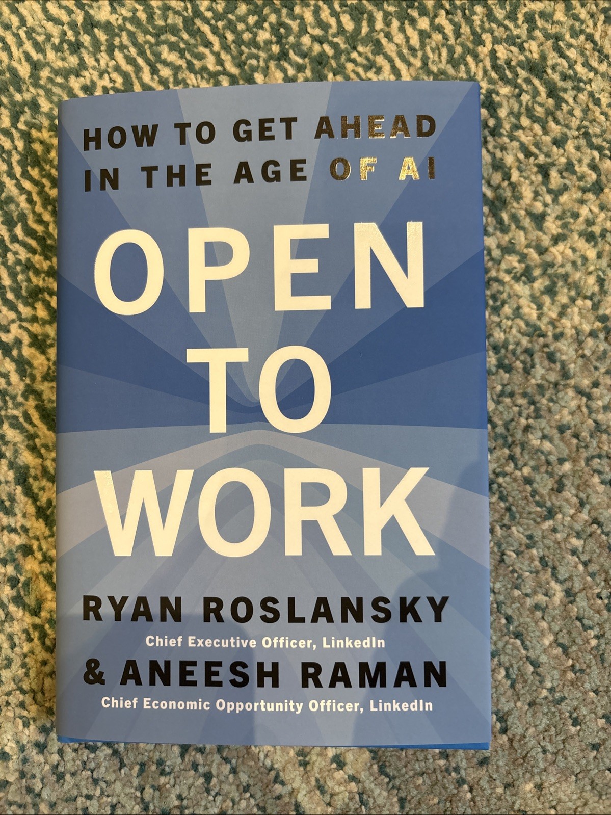Open to Work (Hardcover) by Ryan Roslansky Aneesh Raman