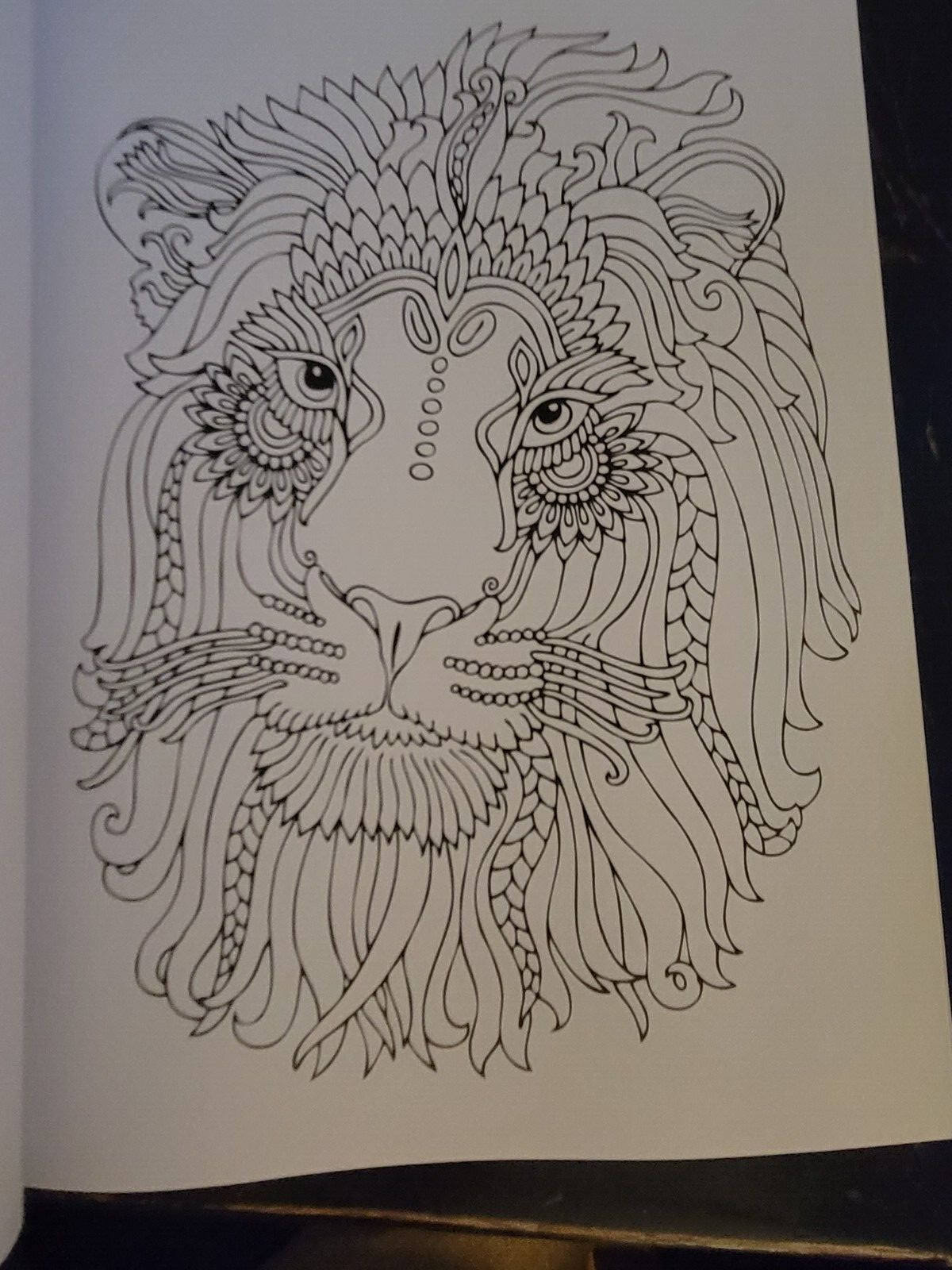 COLORS OF THE WILD Vol. 19 Adult Coloring Book With 47 Prints Ready To Frame!