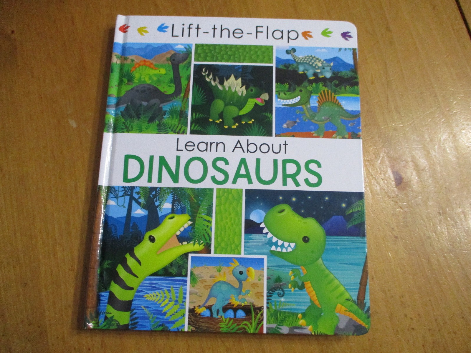 2-Kids Books Learn About Dinosaurs Lift The Flap & How To Catch a Dinosaur