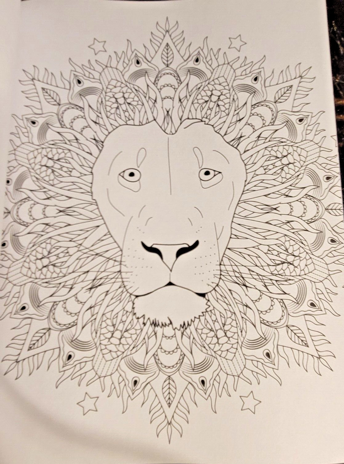 COLORS OF THE WILD Vol. 20 Adult Coloring Book With 47 Prints Ready To Frame!